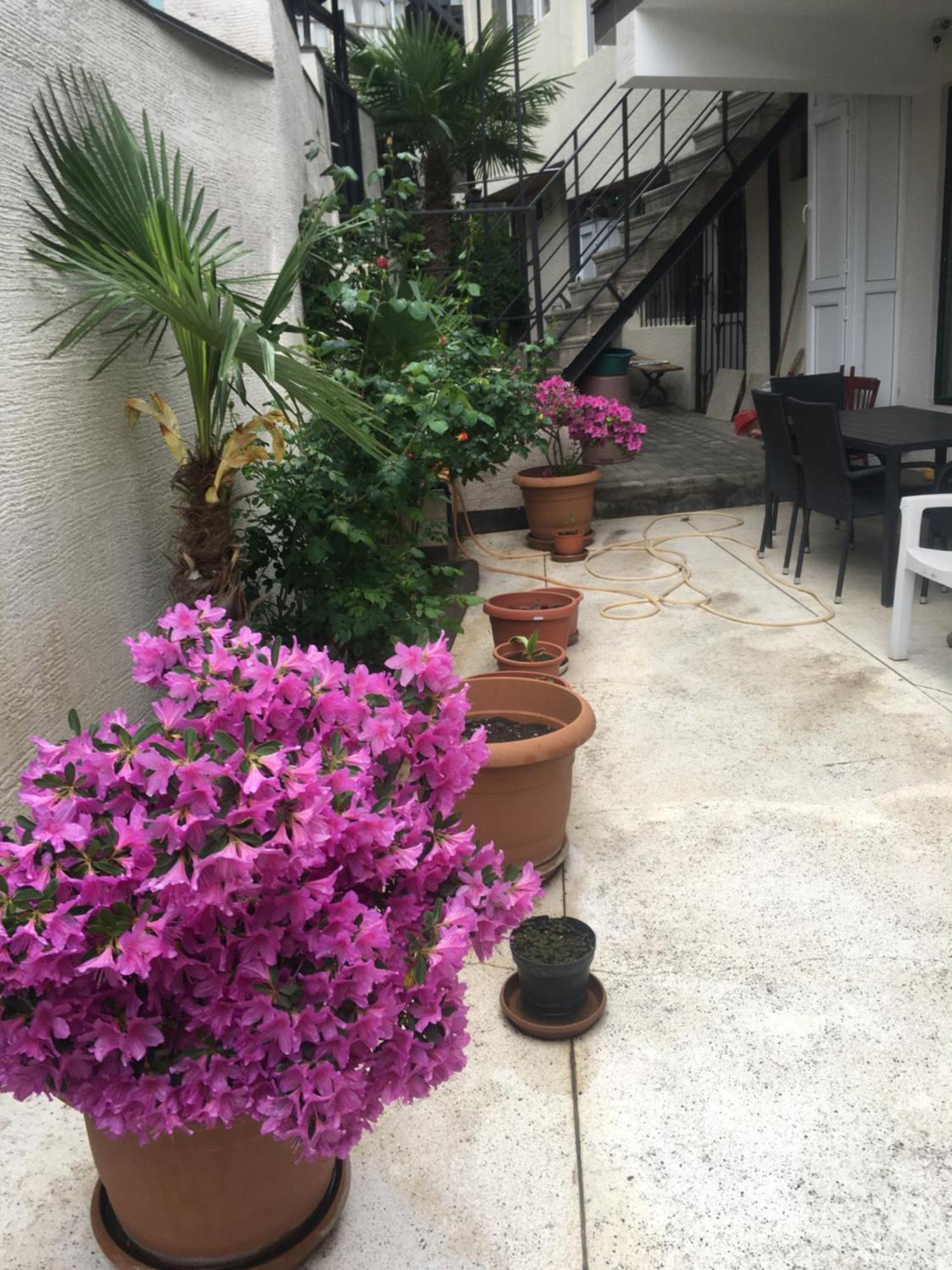 10 Shindisi Street,Tbilisi Apartment Ngoại thất bức ảnh
