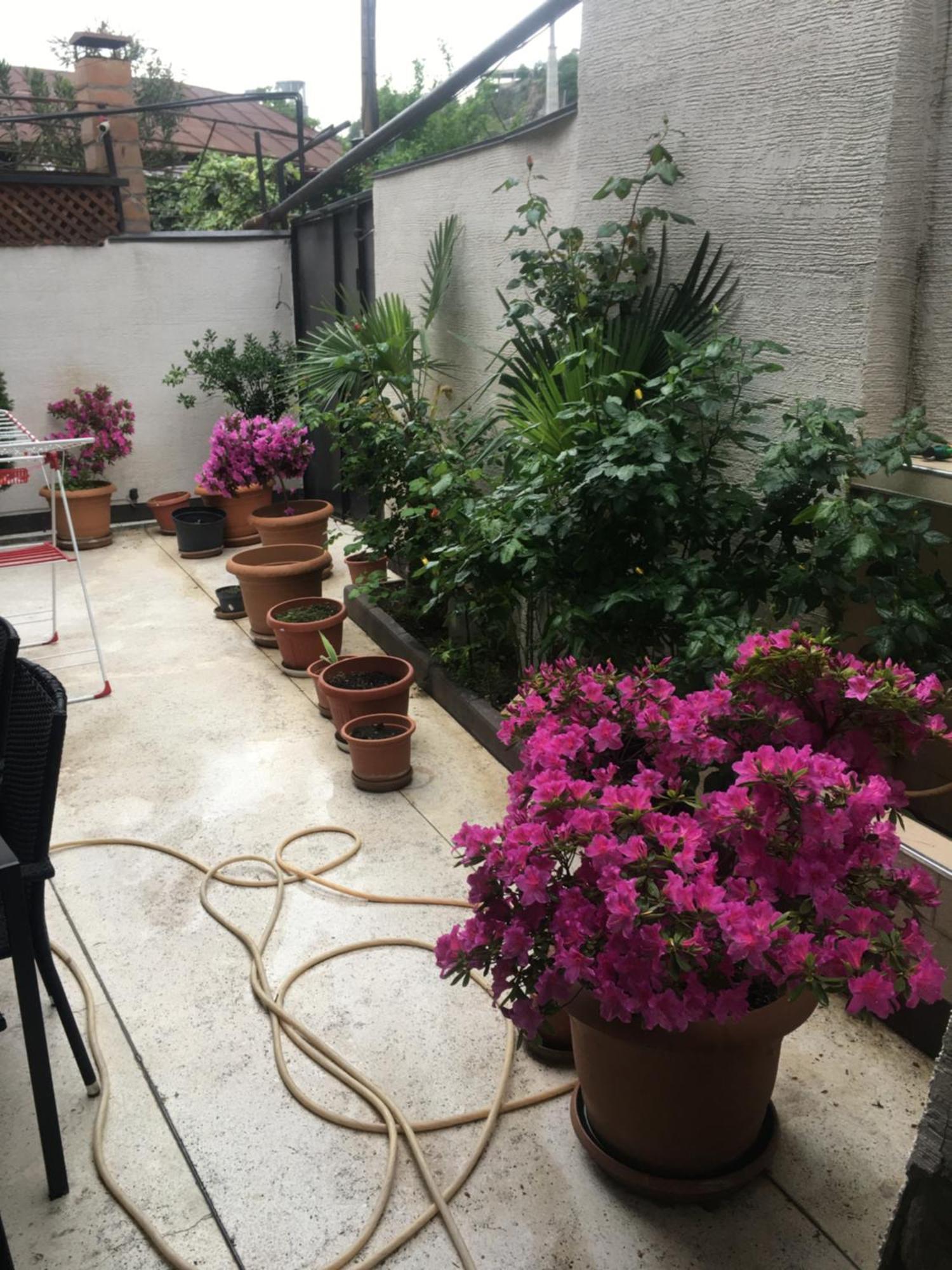 10 Shindisi Street,Tbilisi Apartment Ngoại thất bức ảnh