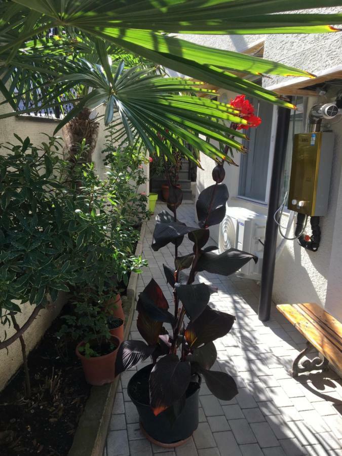 10 Shindisi Street,Tbilisi Apartment Ngoại thất bức ảnh